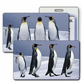Luggage Tag - 3D Lenticular Penguins Marching Stock Image (Blank)
